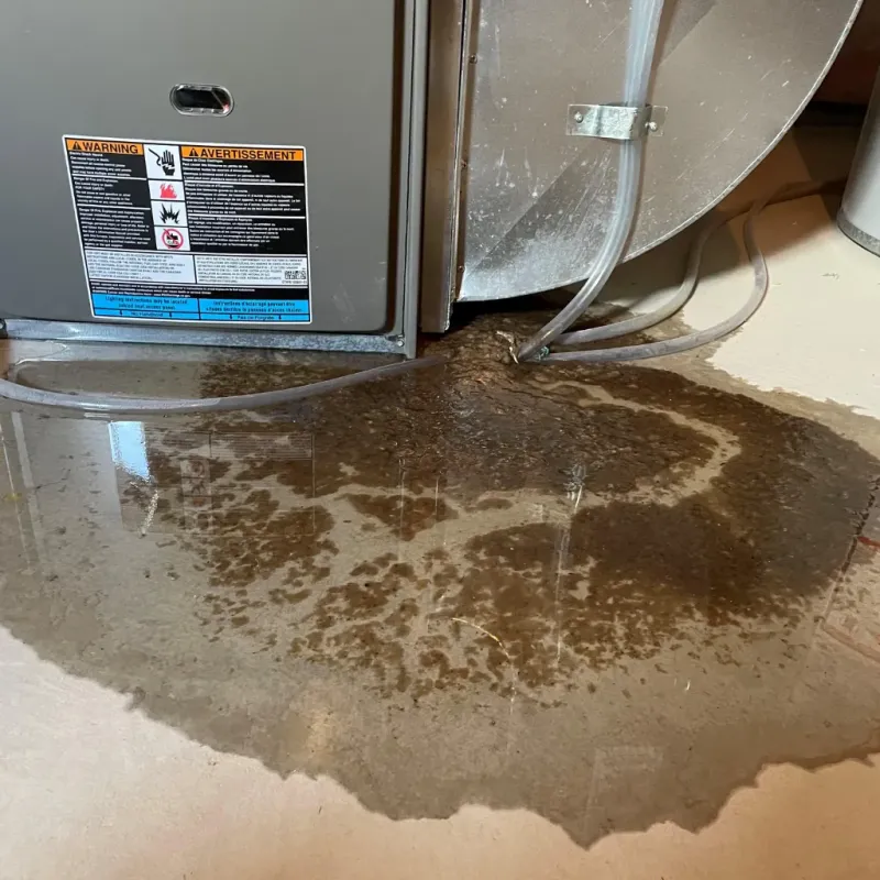 Appliance Leak Cleanup in South Palm Beach, FL